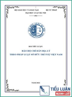[Tiểu luận 2021] Bảo hộ chỉ dẫn địa lý theo pháp luật sở hữu trí tuệ Việt Nam