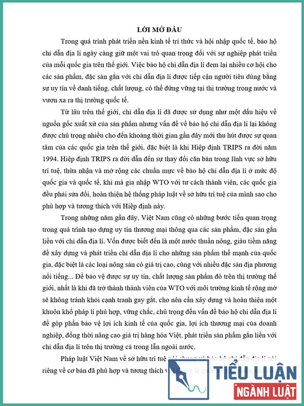 [Tiểu luận 2021] Bảo hộ chỉ dẫn địa lý theo pháp luật sở hữu trí tuệ Việt Nam