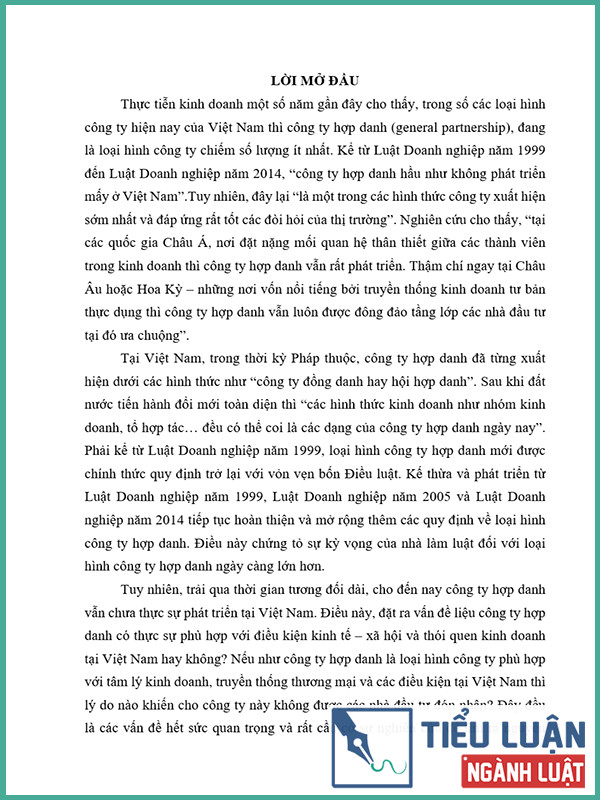 [Tiểu luận 2022] Bất cập hạn chế trong các quy định của pháp luật hiện hành về quyền của thành viên hợp danh trong công ty hợp danh – Một số kiến nghị và giải pháp
