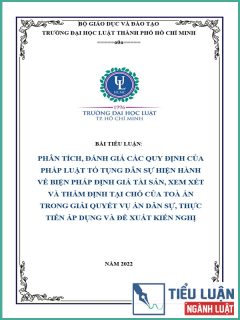 [Tiểu luận 2022] Phân tích, đánh giá các quy định của pháp luật tố tụng dân sự hiện hành về biện pháp định giá tài sản, xem xét và thẩm định tại chỗ của Toà án trong giải quyết vụ án dân sự, thực tiễn áp dụng và đề xuất kiến nghị