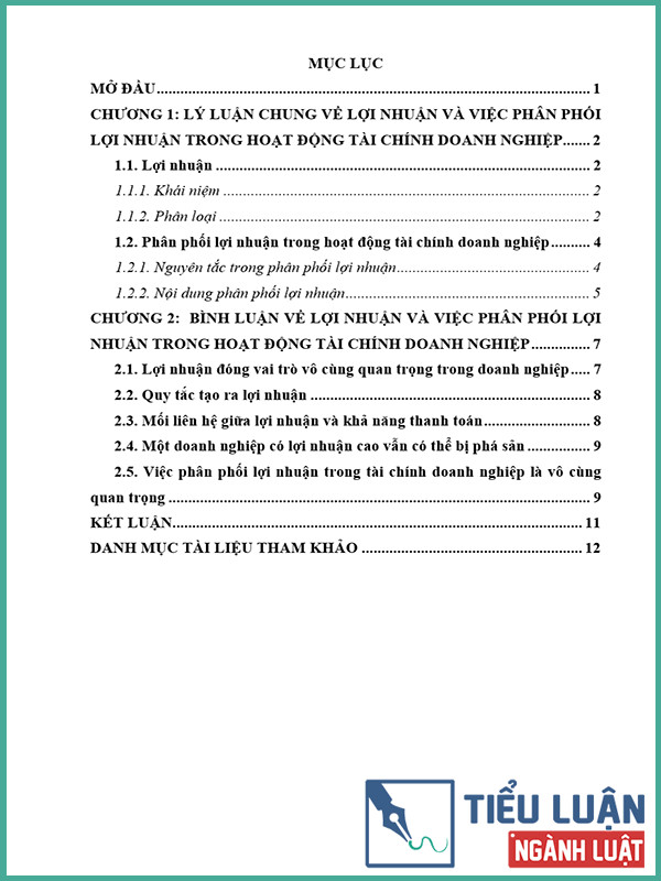 [Tiểu luận 2022] Bình luận về lợi nhuận và việc phân phối lợi nhuận trong hoạt động tài chính doanh nghiệp