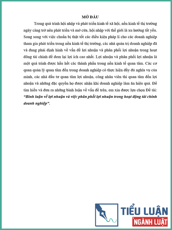[Tiểu luận 2022] Bình luận về lợi nhuận và việc phân phối lợi nhuận trong hoạt động tài chính doanh nghiệp