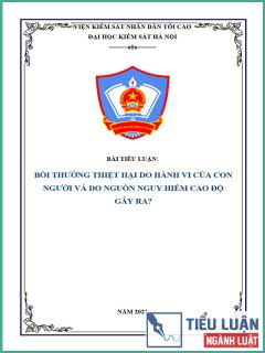 [Tiểu luận 2021] Bồi thường thiệt hại do hành vi của con người và do nguồn nguy hiểm cao độ gây ra?