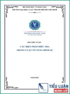 [Tiểu luận 2022] Các biện pháp điều tra trong Luật Tố tụng hình sự