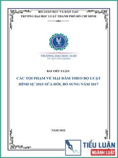 [Tiểu luận 2022] Các tội phạm về mại dâm theo Bộ luật Hình sự năm 2015 sửa đổi, bổ sung năm 2017