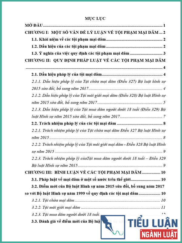 [Tiểu luận 2022] Các tội phạm về mại dâm theo Bộ luật Hình sự năm 2015 sửa đổi, bổ sung năm 2017