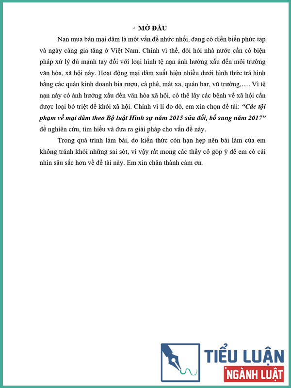 [Tiểu luận 2022] Các tội phạm về mại dâm theo Bộ luật Hình sự năm 2015 sửa đổi, bổ sung năm 2017