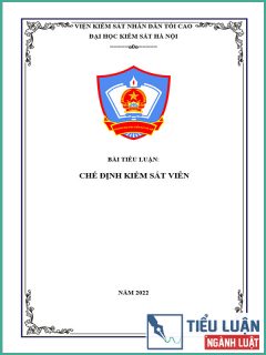 [Tiểu luận 2022] Chế định Kiểm sát viên