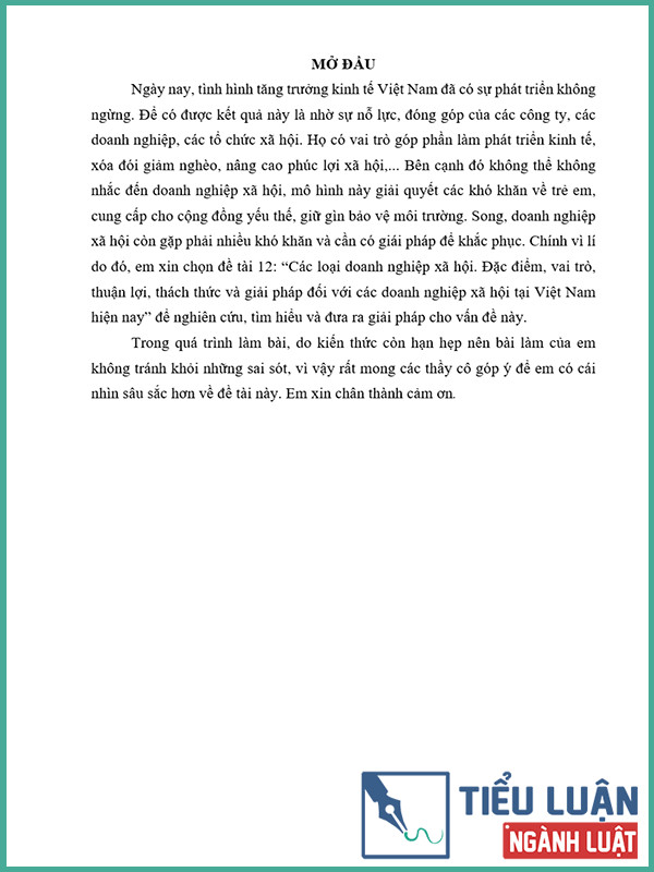 [Tiểu luận 2022] Các loại doanh nghiệp xã hội: Đặc điểm, vai trò, thuận lợi, thách thức và giải pháp đối với các doanh nghiệp xã hội tại Việt Nam hiện nay