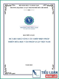 [Tiểu luận 2022] Dự liệu khả năng cấy ghép biện pháp thiến hóa học vào pháp luật Việt Nam