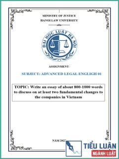 [Essay 2022] Discuss on at least two fundamental changes to the companies in Vietnam