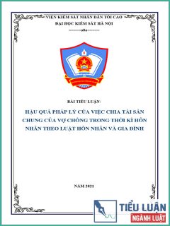 [Tiểu luận 2021] Hậu quả pháp lý của việc chia tài sản chung của vợ chồng trong thời kì hôn nhân theo Luật Hôn nhân và gia đình năm 2014