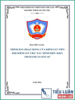 [Tiểu luận 2021] Trình bày hoạt động của Kiểm sát viên khi kiểm sát việc xác minh điều kiện thi hành án dân sự