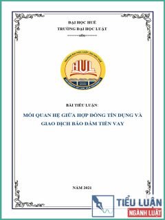 [Tiểu luận 2021] Mối quan hệ giữa hợp đồng tín dụng và giao dịch bảo đảm tiền vay