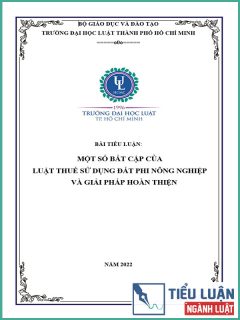 [Tiểu luận 2022] Một số bất cập của Luật Thuế sử dụng đất phi nông nghiệp và giải pháp hoàn thiện