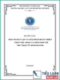 [Tiểu luận 2022] Một số bất cập và giải pháp hoàn thiện thuế thu nhập cá nhân đối với thu nhập từ kinh doanh