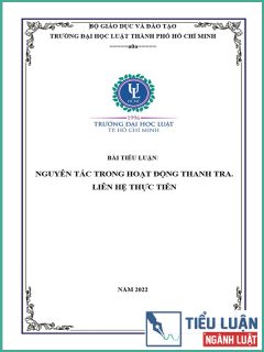 [Tiểu luận 2022] Nguyên tắc trong hoạt động thanh tra. Liên hệ thực tiễn