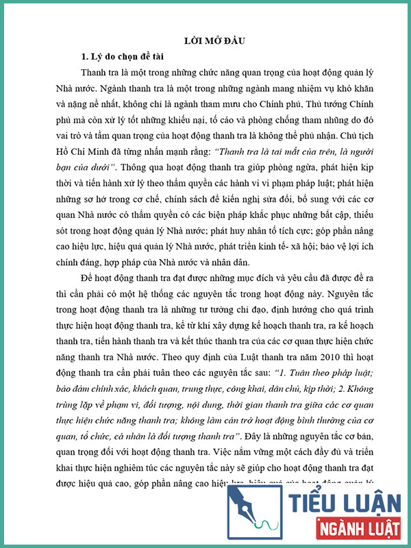 [Tiểu luận 2022] Nguyên tắc trong hoạt động thanh tra. Liên hệ thực tiễn