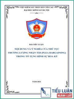 [Tiểu luận 2021] Nội dung và ý nghĩa của thủ tục thương lượng nhận tội (plea bargaining) trong tố tụng hình sự Hoa Kỳ
