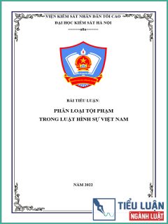 [Tiểu luận 2022] Phân loại tội phạm trong Luật Hình sự Việt Nam