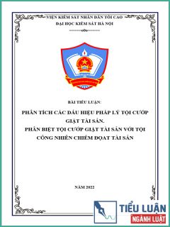 [Tiểu luận 2022] Phân tích các dấu hiệu pháp lý Tội cướp giật tài sản. Phân biệt Tội cướp giật tài sản với Tội công nhiên chiếm đọat tài sản