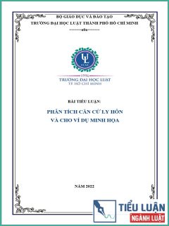 [Tiểu luận 2022] Phân tích căn cứ ly hôn và cho ví dụ minh họa