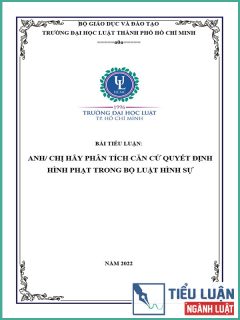 [Tiểu luận 2022] Anh/chị hãy phân tích căn cứ quyết định hình phạt trong Bộ luật Hình sự