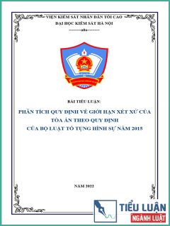 [Tiểu luận 2022] Phân tích quy định về giới hạn xét xử của Tòa án theo quy định của Bộ luật Tố tụng hình sự năm 2015