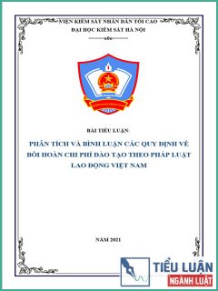 [Tiểu luận 2021] Phân tích và bình luận các quy định về bồi hoàn chi phí đào tạo theo pháp luật lao động Việt Nam