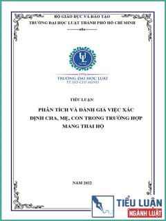 [Tiểu luận 2022] Phân tích và đánh giá việc xác định cha, mẹ, con trong trường hợp mang thai hộ