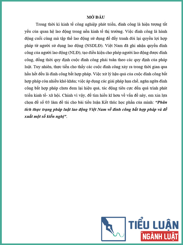 [Tiểu luận 2022] Phân tích thực trạng pháp luật lao động Việt Nam về đình công bất hợp pháp và đề xuất một số kiến nghị