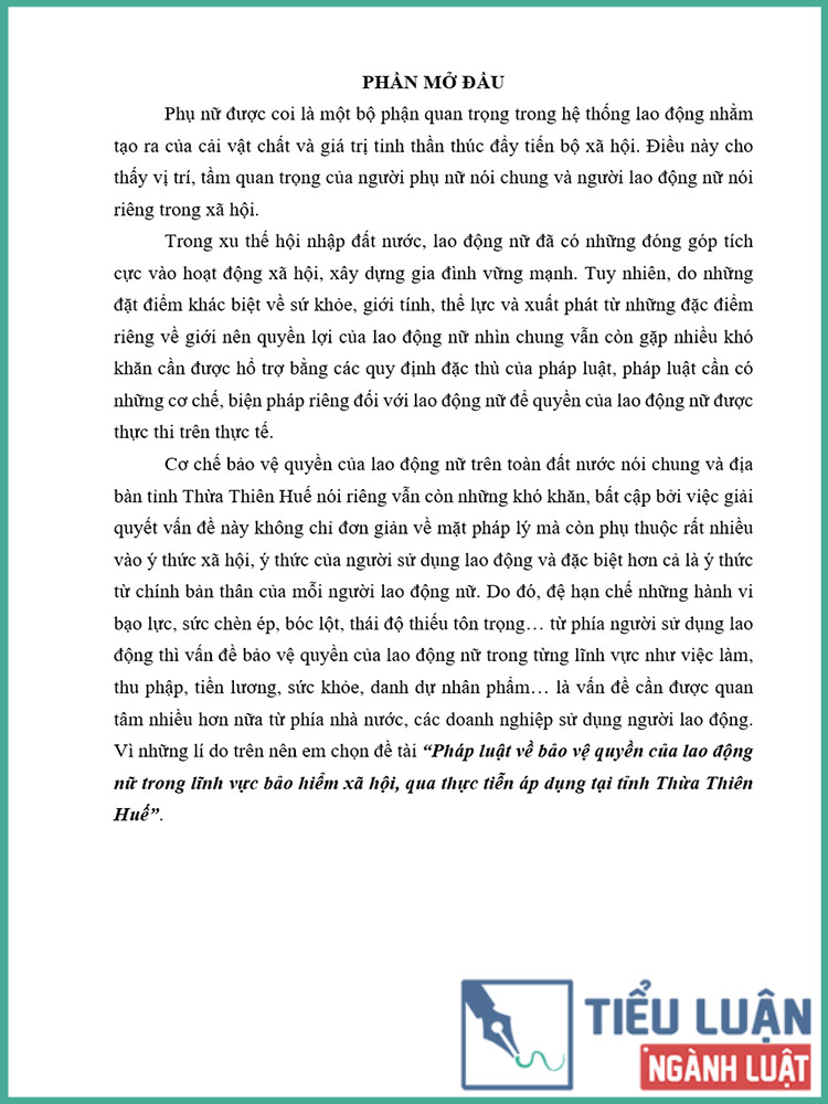 [Tiểu luận 2021] Pháp luật về bảo vệ quyền của lao động nữ trong lĩnh vực bảo hiểm xã hội, qua thực tiễn áp dụng tại tỉnh Thừa Thiên Huế