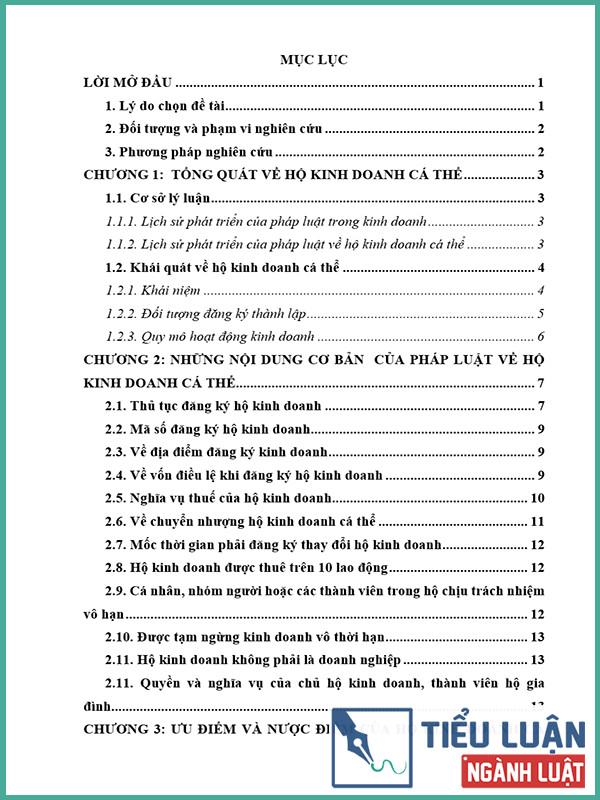 phap luat ve ho kinh doanh ca the 2