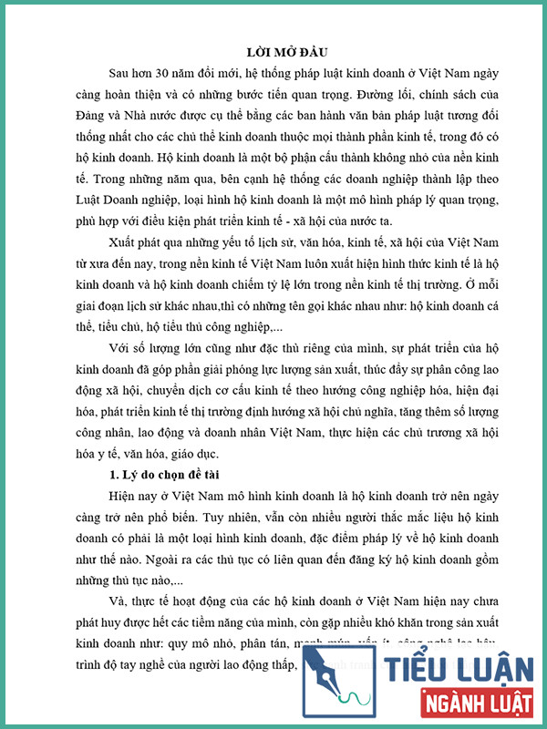 phap luat ve ho kinh doanh ca the 4