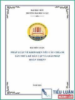 [Tiểu luận 2021] Pháp luật về khởi kiện yêu cầu chia di sản thừa kế: Bất cập và giải pháp hoàn thiện?