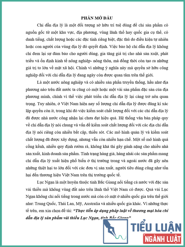 [Tiểu luận 2021] Thực tiễn áp dụng pháp luật về thương mại hóa chỉ dẫn địa lý sản phẩm vải thiều Lục Ngạn, tỉnh Bắc Giang