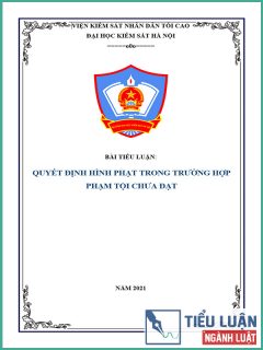 [Tiểu luận 2021] Quyết định hình phạt trong trường hợp phạm tội chưa đạt