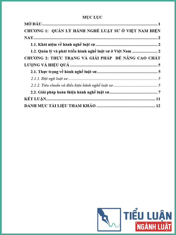 [Tiểu luận 2022] Thực trạng và giải pháp nâng cao chất lượng hành nghề luật sư