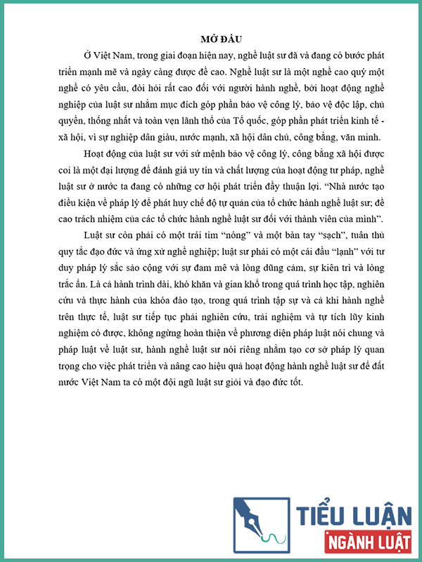 [Tiểu luận 2022] Thực trạng và giải pháp nâng cao chất lượng hành nghề luật sư