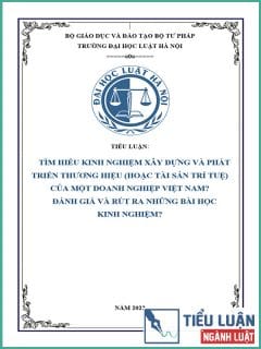 [Tiểu luận 2022] Tìm hiểu kinh nghiệm xây dựng và phát triển thương hiệu (hoặc tài sản trí tuệ) của một doanh nghiệp Việt Nam? Đánh giá và rút ra những bài học kinh nghiệm?