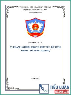[Tiểu luận 2021] Vi phạm nghiêm trọng thủ tục tố tụng trong tố tụng hình sự