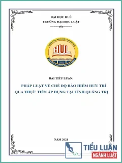 [Tiểu luận 2021] Pháp luật về chế độ bảo hiểm hưu trí qua áp dụng thực tiễn tại tỉnh Quảng Trị