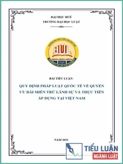 [Tiểu luận 2021] Quy định pháp luật quốc tế về quyền ưu đãi miễn trừ lãnh sự và thực tiễn áp dụng tại Việt Nam