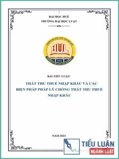 [Tiểu luận 2021] Thất thu thuế nhập khẩu và các biện pháp pháp lý chống thất thu thuế nhập khẩu