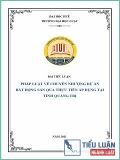[Tiểu luận 2021] Pháp luật về chuyển nhượng dự án bất động sản qua thực tiễn áp dụng tại tỉnh Quảng Trị