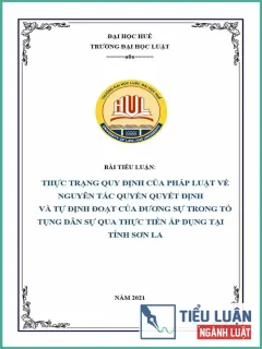 [Tiểu luận 2021] Thực trạng quy định của pháp luật về Nguyên tắc quyền quyết định và tự định đoạt của đương sự trong tố tụng dân sự qua thực tiễn áp dụng tại tỉnh Sơn La