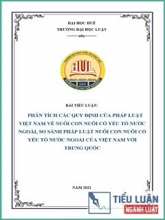 [Tiểu luận 2021] Phân tích các quy định của pháp luật Việt Nam về nuôi con nuôi có yếu tố nước ngoài, so sánh pháp luật nuôi con nuôi có yếu tố nước ngoài của Việt Nam với Trung Quốc