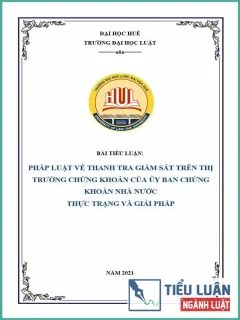 [Tiểu luận 2021] Pháp luật về thanh tra giám sát trên thị trường chứng khoán của Ủy ban Chứng khoán nhà nước - Thực trạng và giải pháp