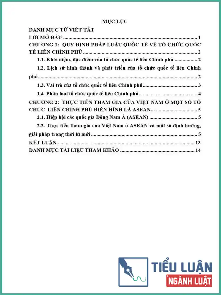 [Tiểu luận 2021] Quy định của pháp luật quốc tế về tổ chức liên Chính phủ và thực tiễn tham gia của Việt Nam tại ASEAN