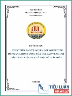 [Tiểu luận 2021] Thực tiễn bảo vệ quyền lợi người tiêu dùng qua hoạt động của Hội Bảo vệ người tiêu dùng Việt Nam và một số giải pháp